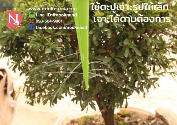 ٻҾ4 ͧԹ : (1ش4)ػóôӵͧ Ѻ (ôҹ)Garden Cone Watering Spike Plant Waterers Bottle Irrigation System